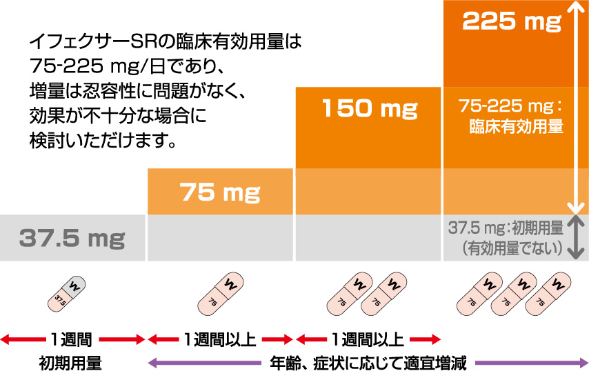 図1：標準的な投与スケジュールの模式図
