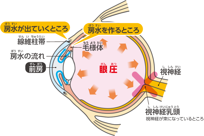 眼圧とは