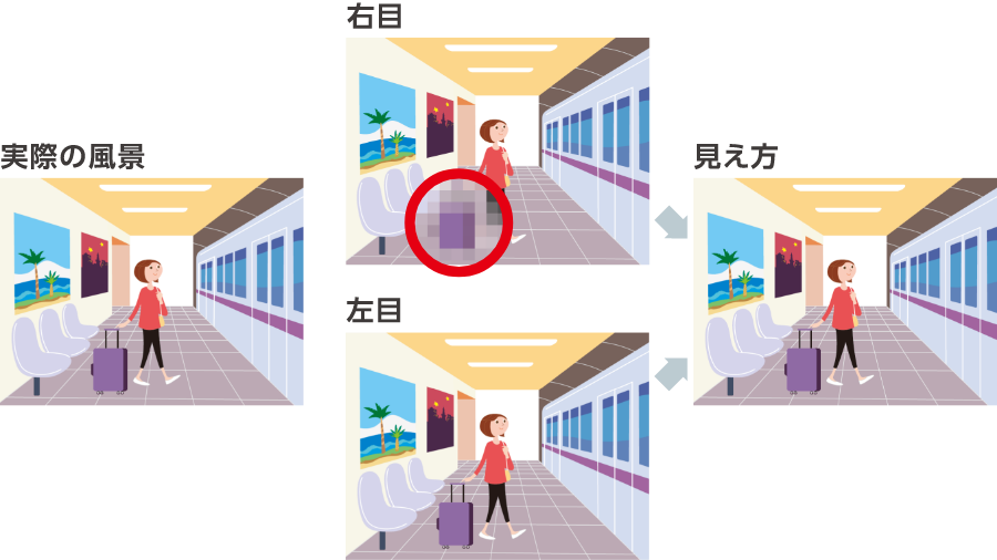 両目で補い合う視野