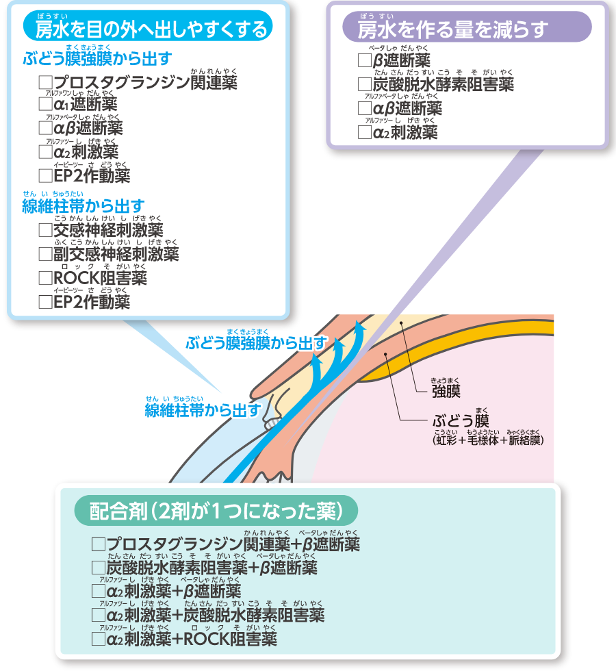 房水の量を調整して眼圧を下げる目薬