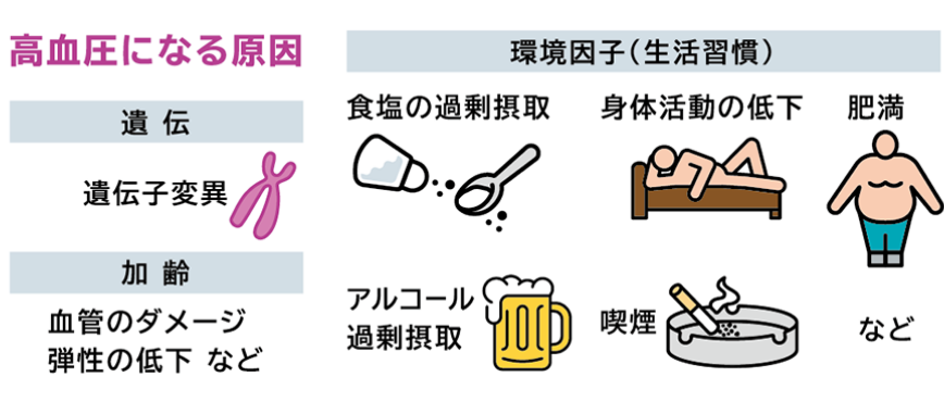 高血圧になる原因