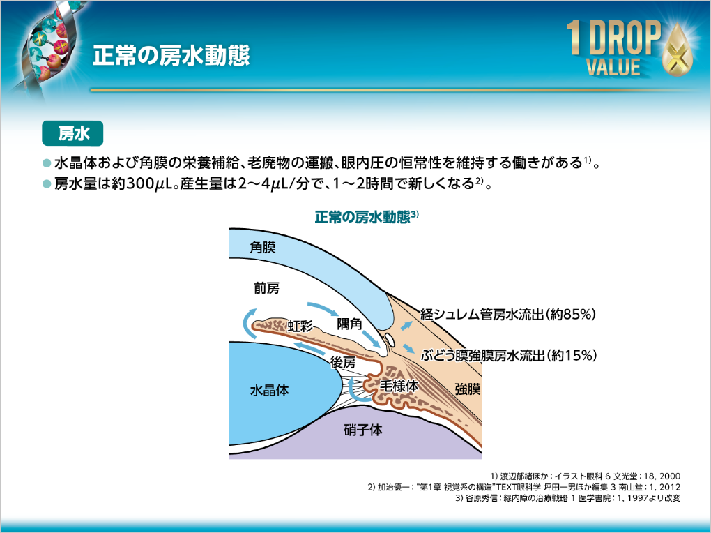 正常の房水動態