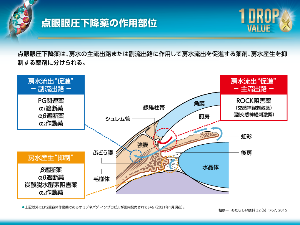 点眼眼圧下降薬の作用部位