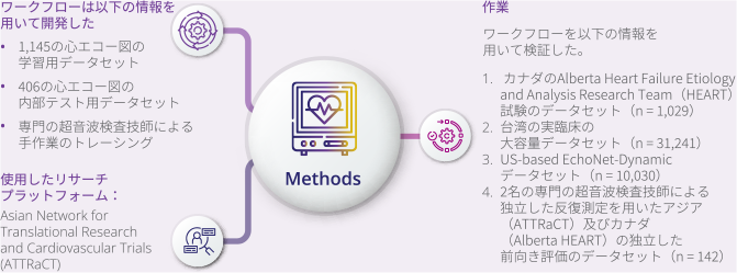 拍動を描出する：心エコー図の自動解析