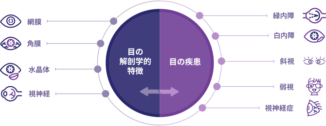 解剖学的特徴と疾患に基づくNEIの中核研究プログラム