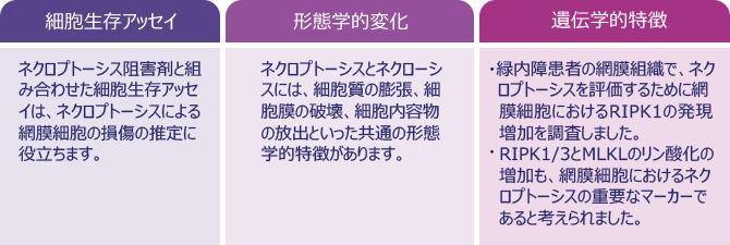 網膜細胞におけるネクロプトーシスの検出